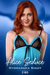 Alice Seduce - Hydrangea Night